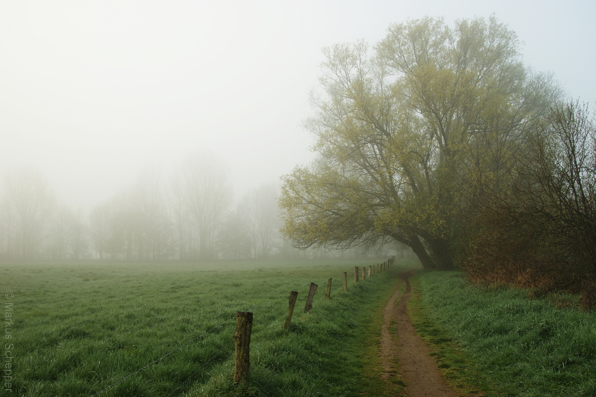 Herbstbilder